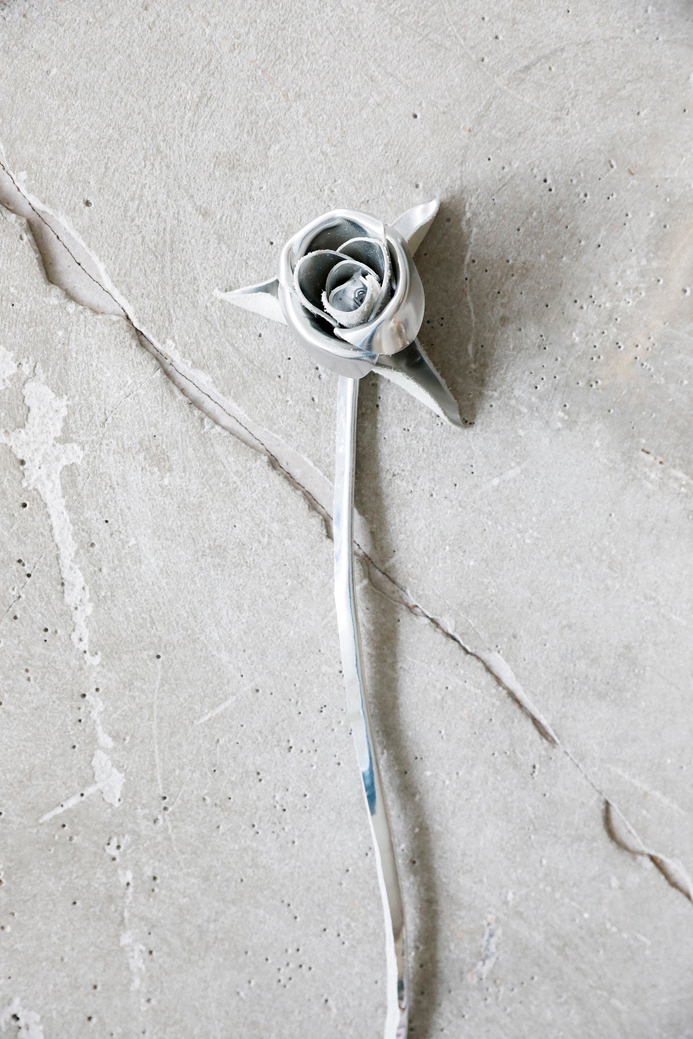 Chrome Leather Rose