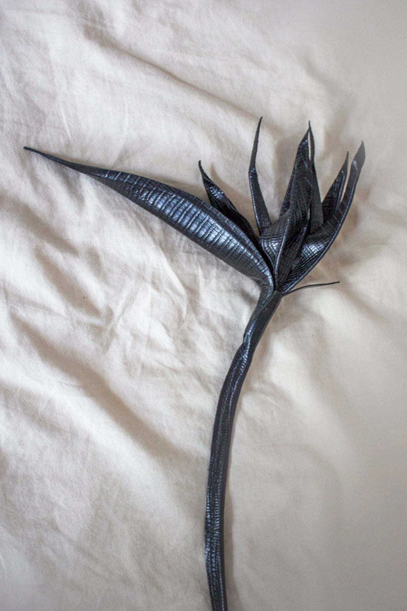 Black Structured Leather Strelitzia