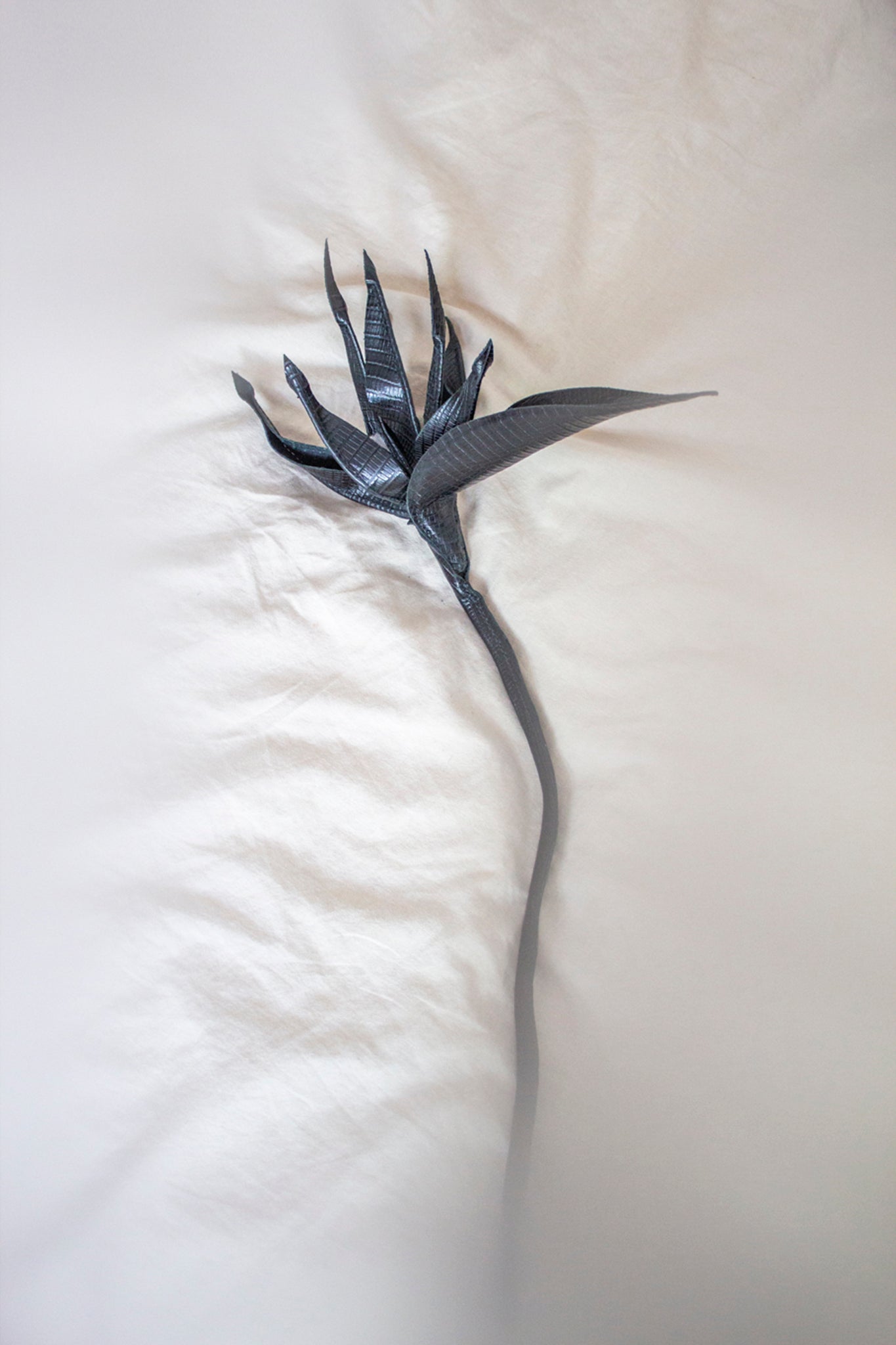 Black Structured Leather Strelitzia