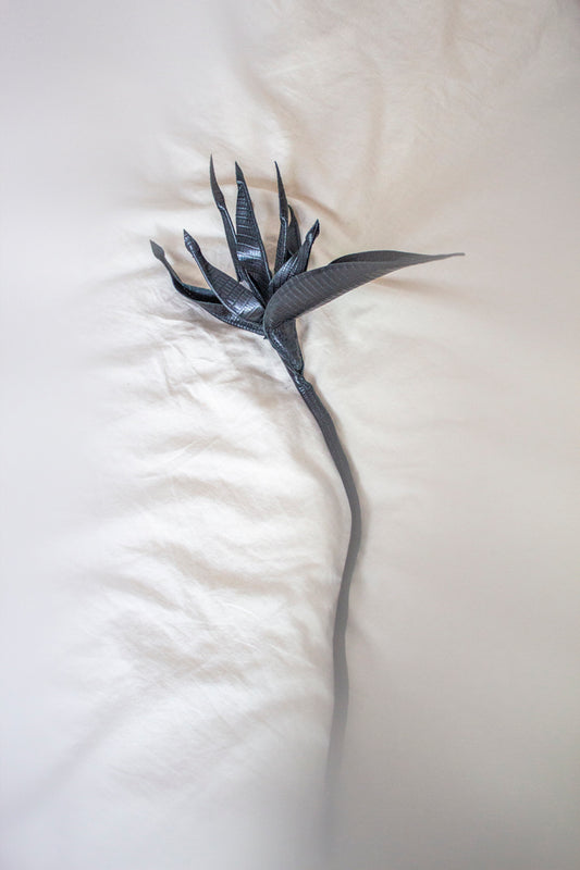 Black Structured Leather Strelitzia