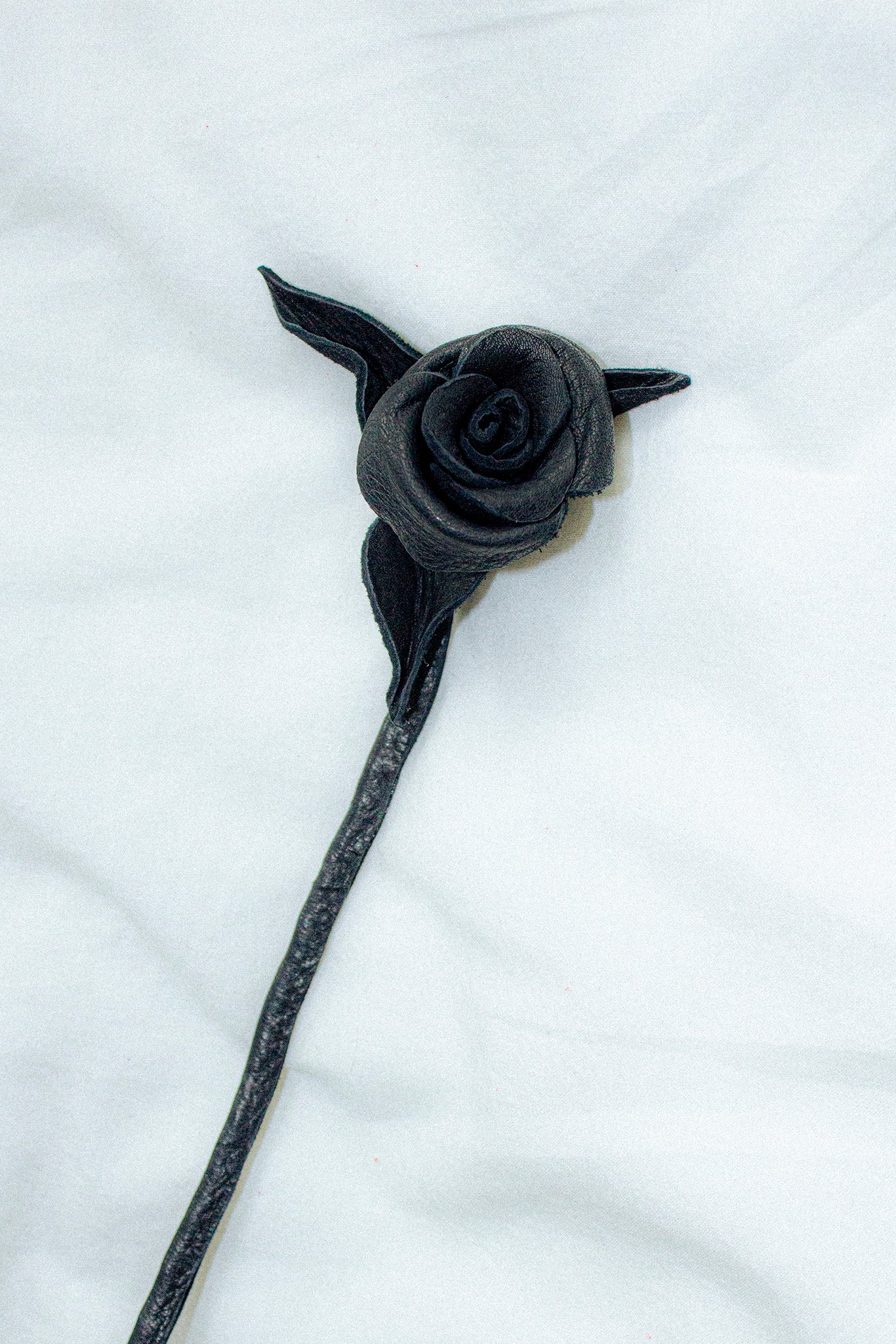 Black Leather Rose