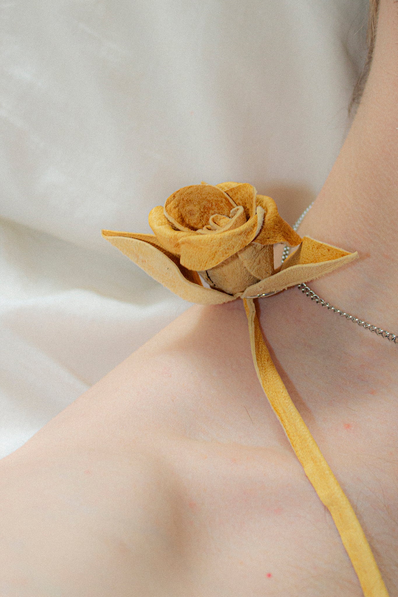 Honey Leather Rose