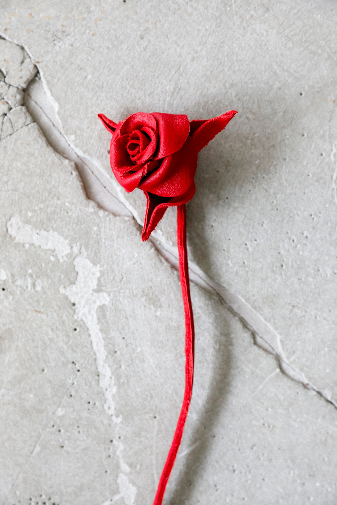 Red Leather Rose