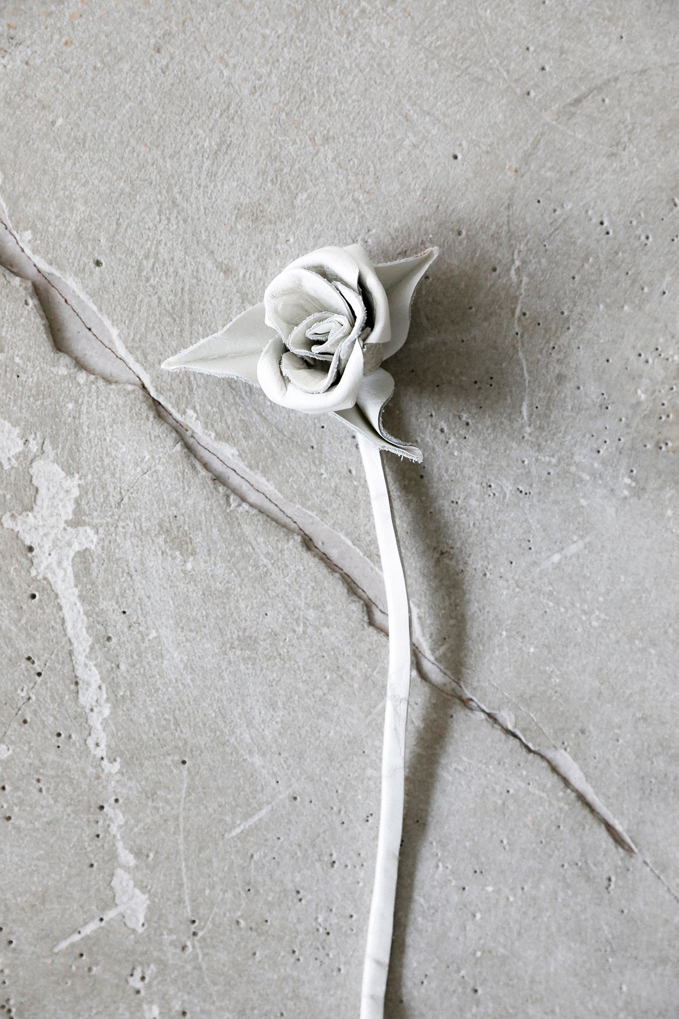 White Leather Rose